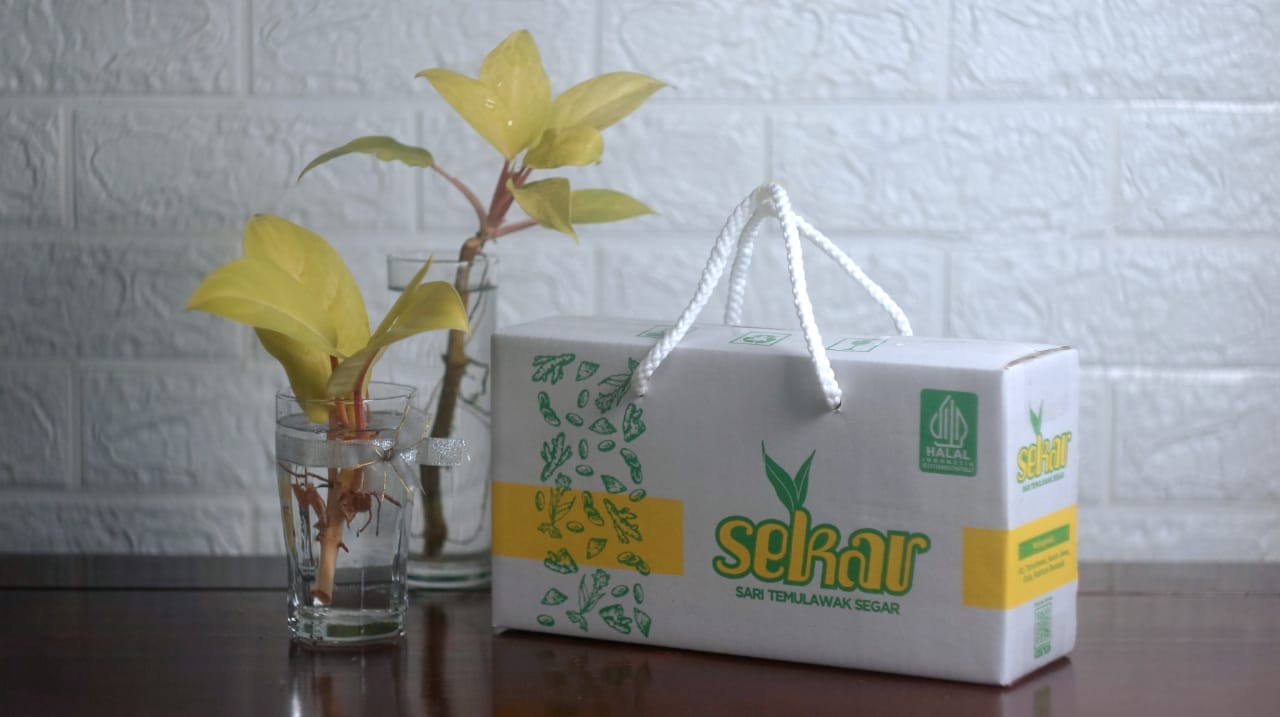 Sari Temulawak-isi 12 Cup